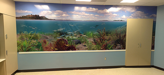 Stony Brook mural