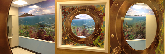 StonyWindows