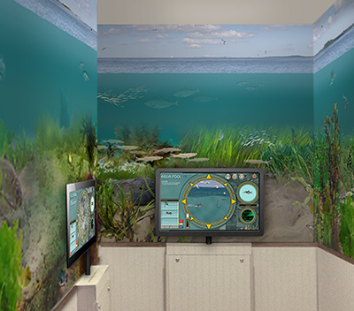 Aqua room