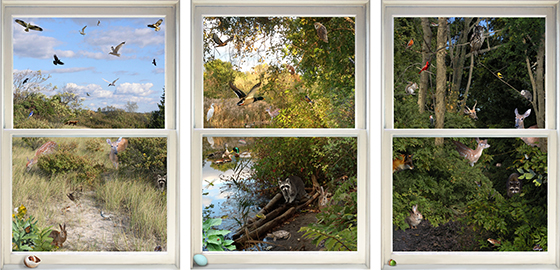 GoodSamWindows