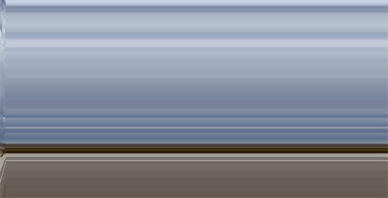 LS5