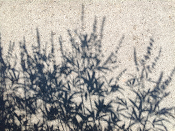 s7