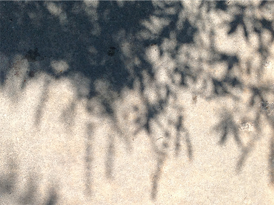 s8