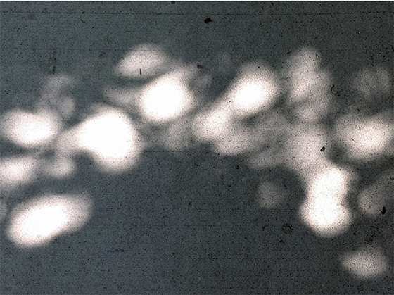 s12