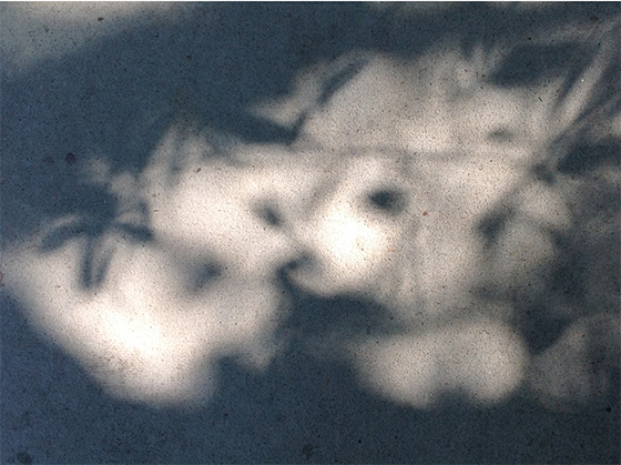sh14