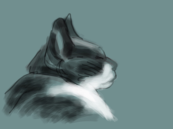 Miso
